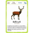 Expedition Natur Quartett Waldtiere