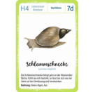 Expedition Natur Quartett Waldtiere