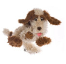 Tillmann der Hund