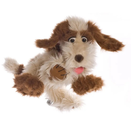 Tillmann der Hund
