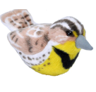 Singdrossel