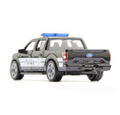 Ford F150 US-Police
