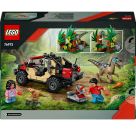 Raptor Verfolgungsjagd mit de