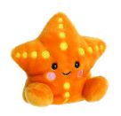 PP-Treasure Starfish