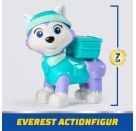 PAW Basic Vehicle Everest (Re