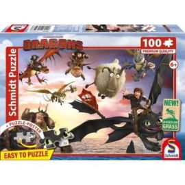 Drachenreiter 100 T. Gras