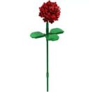 BRIXIES Plus Rose rot