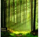 Black Forest