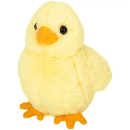 Küken 10 cm