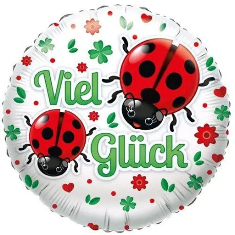 Viel Glück Marienkäfer 45 cm  18   holo