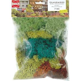 Islandmoos Großpack.