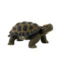 Bullyland Landschildkröte, ab 3 Jahren.