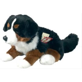 Teddy Hermann Berner Sennenhund sitzend, ca. 29 cm