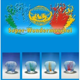 Wundermuschel, farblich sortiert