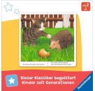 Ich bin die kleine Katze