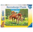 Ravensburger 10577 Puzzle Pferdeglück auf der Wiese 100 Teile XXL