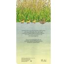 Ich bin die kleine Ente