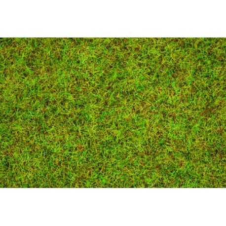 Noch 08310 Sommerwiesen-Gras