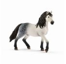 Schleich - Horse Club - Andalusier Hengst