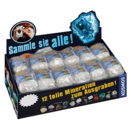 Mineralien & Fossilien (24 Ex. im Display)