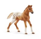 schleich® Horse Club - 42433 Lisas Turnier-Training mit Appaloosa Familie, ab 3 Jahre