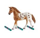 schleich® Horse Club - 42433 Lisas Turnier-Training mit Appaloosa Familie, ab 3 Jahre