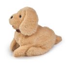 Chi Chi Love Salto Puppy