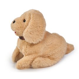 Chi Chi Love Salto Puppy