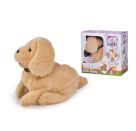 Chi Chi Love Salto Puppy