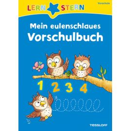 LERNSTERN Mein eulenschlaues Vorschulbuch