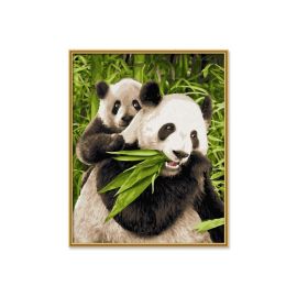 Malen nach Zahlen - Pandabären