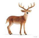 schleich® Wild Life 14818 Weißwedelhirsch