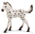 schleich® Horse Club 13890 Knabstrupper Fohlen