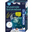 Fun Science Wuselnde Salzkrebse