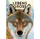 Lebensgroß - Tiere des Waldes (Nature Zoom)