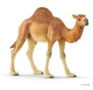 schleich® Wild Life 14832 Dromedar