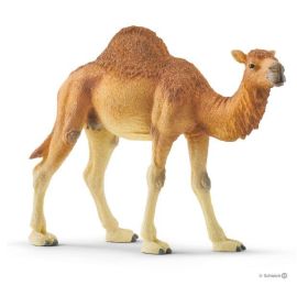 schleich® Wild Life 14832 Dromedar