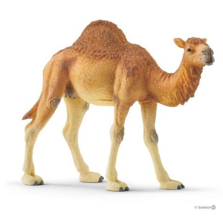 schleich® Wild Life 14832 Dromedar