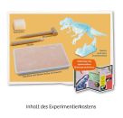 Nachtleuchtender T-Rex