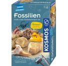 Fossilien