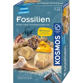 Fossilien