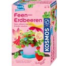Feen-Erdbeeren