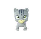 Pamper Petz Katze