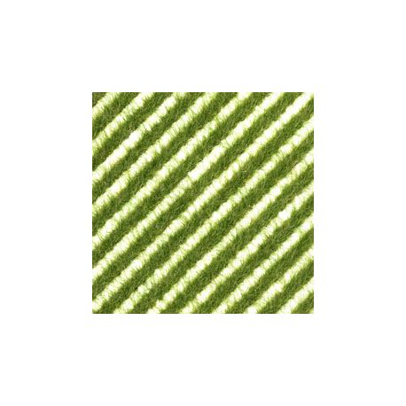 Grasstreifen Frühling