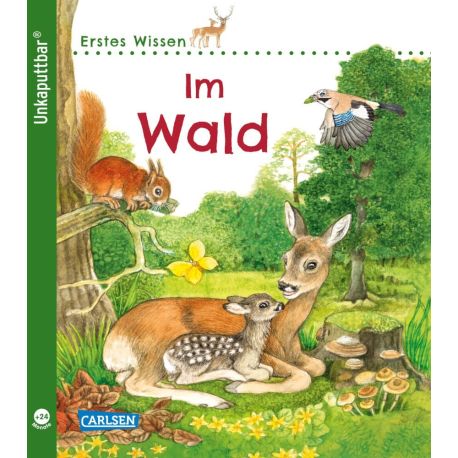 Unkaputtbar 4: Erstes Wissen: Im Wald, sortiert