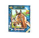 Malen nach Zahlen - Pferdeportrait