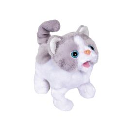 Chi Chi Love Little Cat