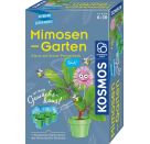 Mimosen-Garten