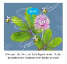 Mimosen-Garten