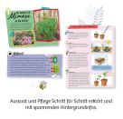 Mimosen-Garten